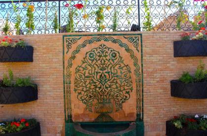 Riad Sidrat Fes - image 5